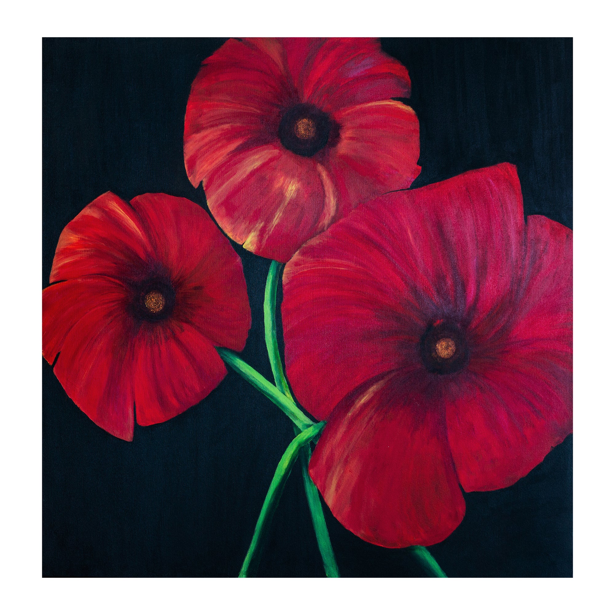 Poppies