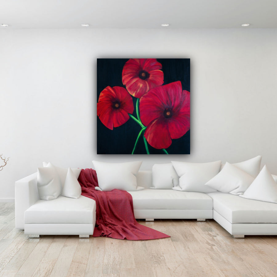 Poppies